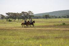 South Africa-Waterberg-Waterberg Big 5 Adventure